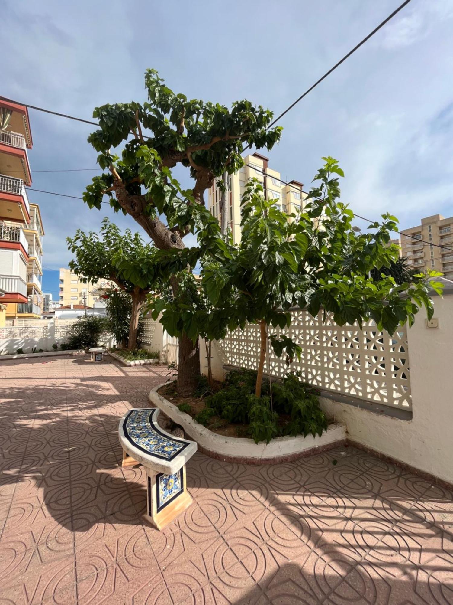 Playa de GandiaRincon De Maria- Segunda Linea De Playa-Ganador Traveller Awards 2025公寓 外观 照片