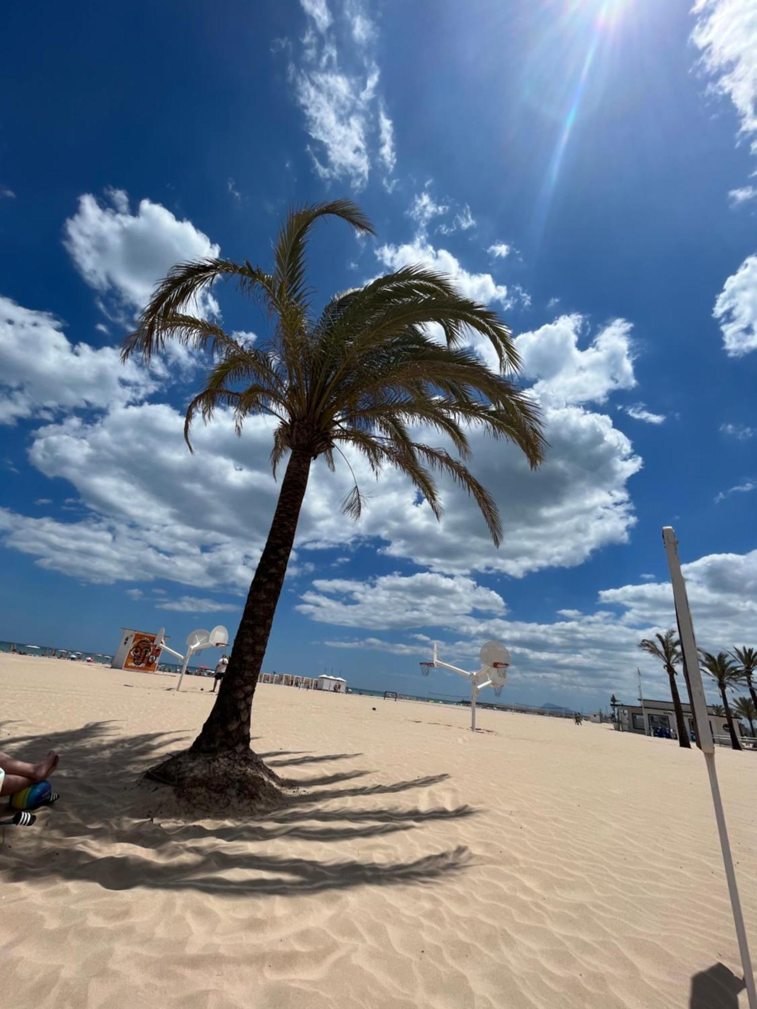 Playa de GandiaRincon De Maria- Segunda Linea De Playa-Ganador Traveller Awards 2025公寓 外观 照片